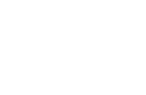 VCG logo
